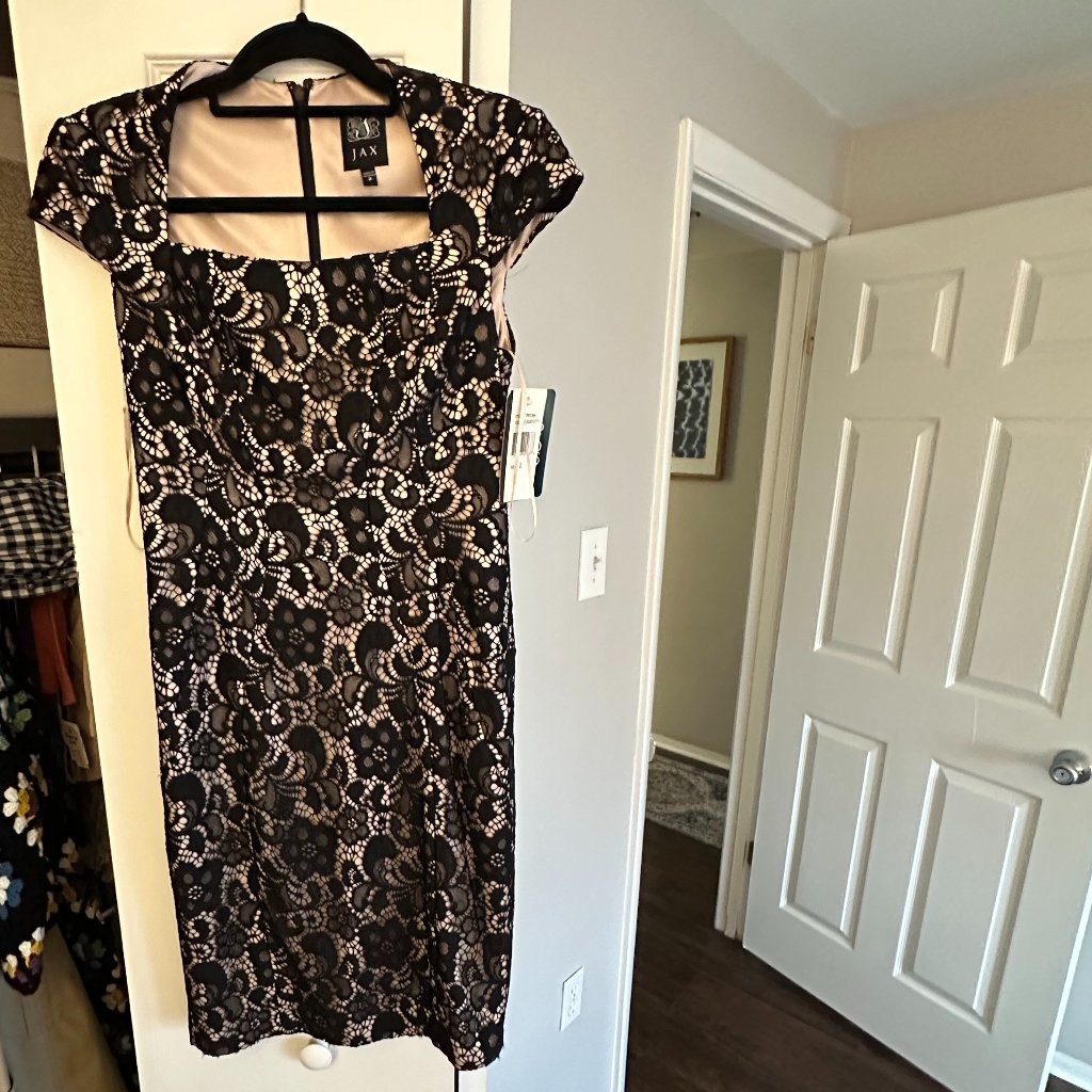 Nwt Jax Black Lace Dress Size 2